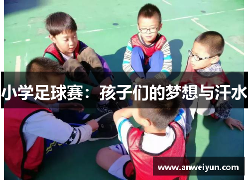 小学足球赛：孩子们的梦想与汗水