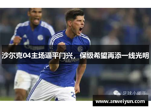 沙尔克04主场逼平门兴，保级希望再添一线光明